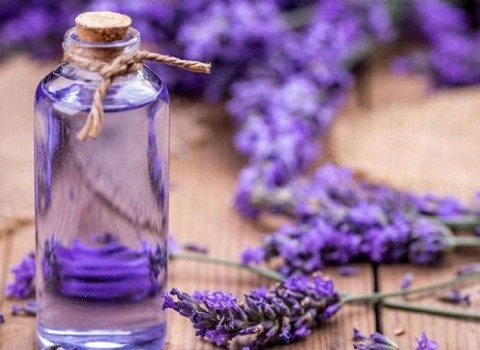قیمت عرق اسطوخودوس